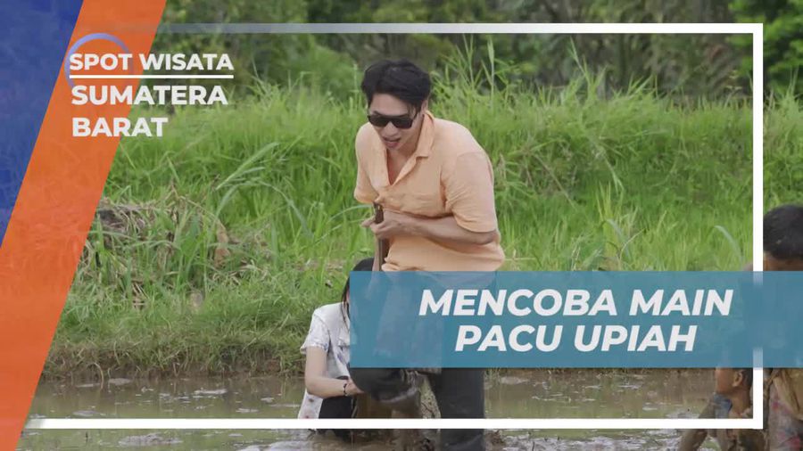 Cobalah Main Pacu Upiah dan Rasakan Keseruan di Persawahan Desa Sarugo