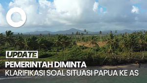 Video: Imbauan AS Hindari ke 2 Wilayah di Papua, Ini Respons Asosiasi Wisata