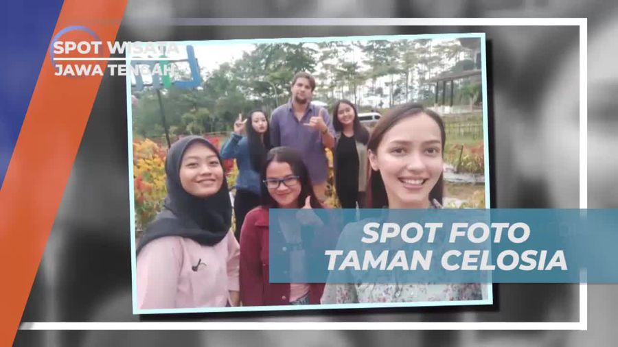 Berfoto di Taman Bunga Celosia yang Indah di Pekalongan, Jawa Tengah