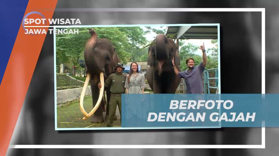 Bergembira Berfoto dengan Gajah di Taman Celosia, Jawa Tengah