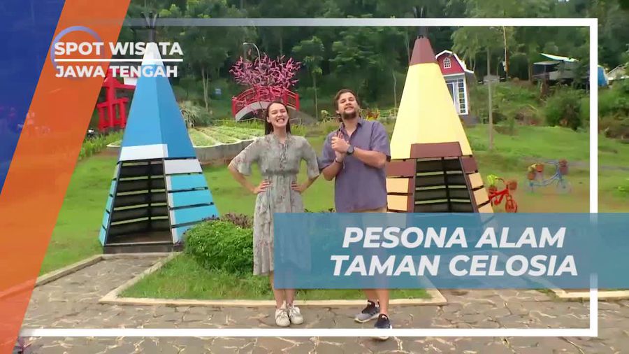 Menyaksikan Pesona Alam Taman Celosia di Pekalongan, Jawa Tengah