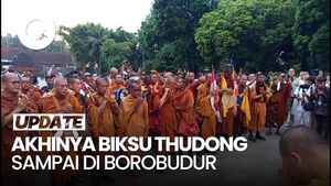 Video: 36 Biksu Thudong yang Jalan Kaki dari Thailand Telah Sampai di Borobudur