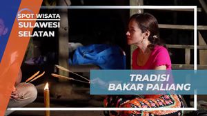 Merayakan Tradisi Bakar Paliang di Sulawesi Selatan
