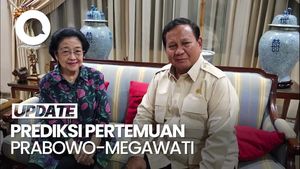 Video Prabowo Rindu Nasgor Megawati, Bos PPI: Kode Keras Akan Bertemu
