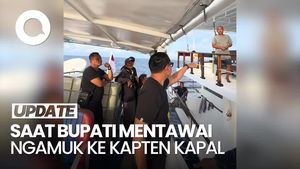 Video Bupati Mentawai Ngamuk ke Kapten Kapal Pesiar gegara Tak Tunjukkan Dokumen