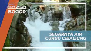 Rasanya Segar Berenang di Air Jernih Curug Cibaliung, Bogor