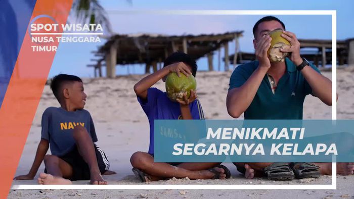 Nikmati Segarnya Kelapa di Pinggir Pantai Nusa Tenggara Timur