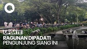 Video: Libur Waisak, 19 Ribu Pengunjung Masuk Ragunan Siang Ini