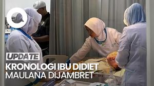 Video Penjelasan Lengkap Didiet Maulana soal Ibu Jadi Korban Penjambretan