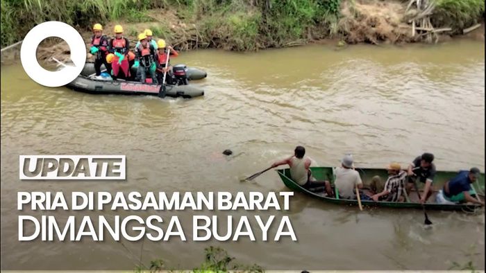 Video: Pria di Pasaman Barat Tewas Dimangsa Buaya Saat Seberangi Sungai