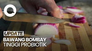 Video: Ternyata Bawang Bombay Bagus Lho untuk MPASI!