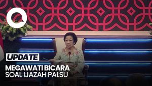 Video Megawati soal Kisruh Ijazah Palsu: Kok Susah Amat, Kalau Ada Kasih Saja