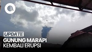 Video: Marapi Kembali Erupsi, Semburkan Abu Vulkanik Setinggi 1,6 Kilometer