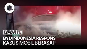 Video: Respons BYD Indonesia soal Kasus Mobil Listrik Seal Berasap di Jakbar