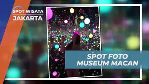 Masuki Ruangan Istimewa di Museum Macan, Jakarta