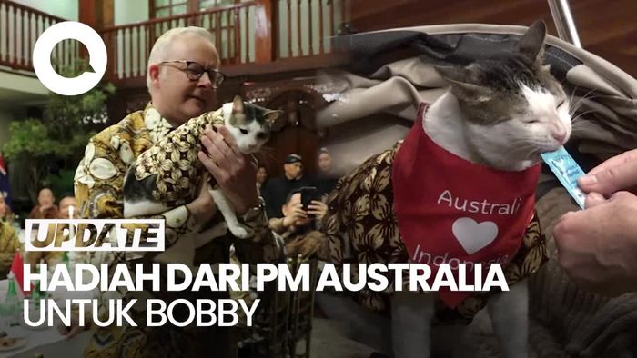 Video: Bobby Kertanegara Dapat Hadiah Syal dari PM Australia