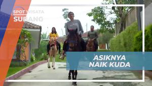 Berkuda di Tengah Pemandangan Alam Berkelas di Subang