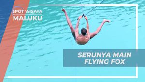 Mencoba Flying Fox yang Menantang di Ohoi Letman, Maluku