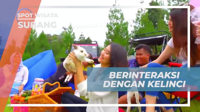Berinteraksi dengan Kelinci dan Kambing Lucu Saat Piknik di Subang