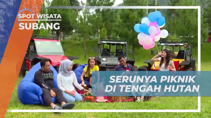 Bersantai dan Piknik di Tengah Kenyamanan Alam Hutan Subang