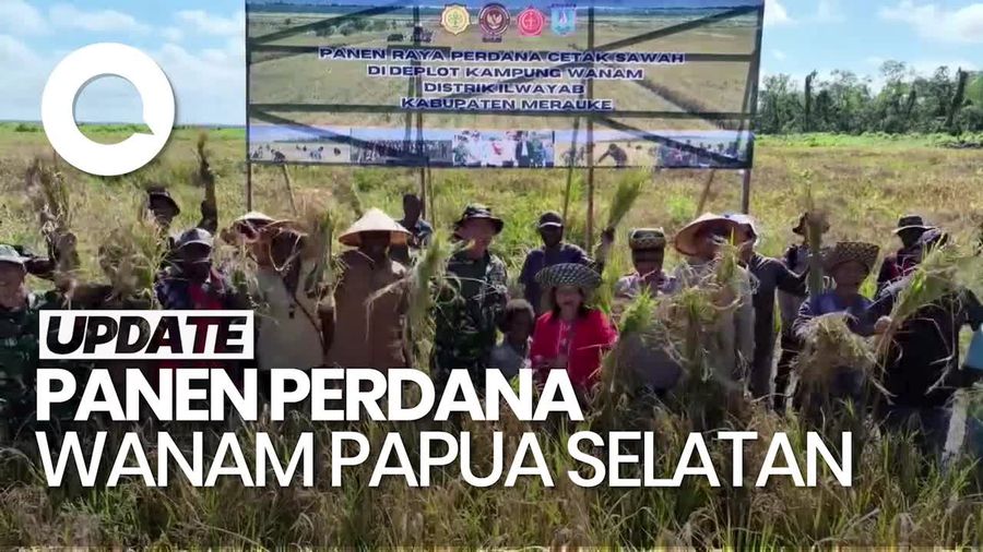 Video: Panen Perdana Lumbung Pangan Wanam, Hasilkan 2,5 Ton per Hektare