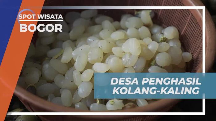 Menggali Potensi Desa Penghasil Kolang-Kaling di Bogor 