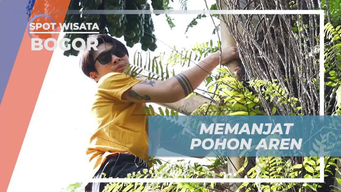 Mencoba Tantangan Memanjat Pohon Aren di Bogor
