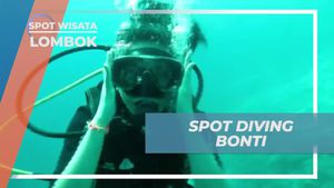 Menemukan Spot Diving Menarik di Bonti, Gili Air, Lombok