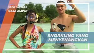 Menyelam Seru dan Menikmati Keindahan di Raja Ampat
