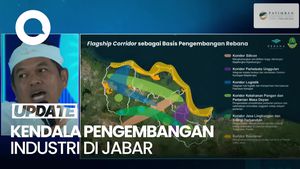 Video: Dedi Mulyadi Ungkap Kendala Pengembangan Industri di Jabar