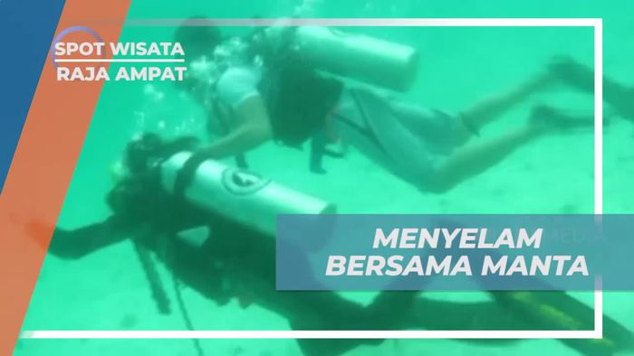 Menyelam Bersama Pari Manta di Meos Mansaar, Raja Ampat