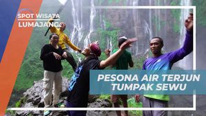 Takjub dengan Pesona Alam di Air Terjun Tumpak Sewu, Lumajang