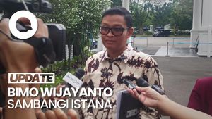 Video: Diisukan Jadi Dirjen Pajak, Bimo Wijayanto Temui Prabowo di Istana