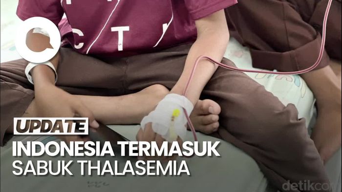 Video Kemenkes Ingatkan Lagi Indonesia Masuk Sabuk Thalasemia Dunia