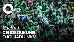 Video: CELIOS Dukung Rencana Driver Ojol Jadi Bagian UMKM, Alasannya?