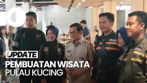 Video: Persiapan Pramono Anung Bikin Wisata Pulau Kucing