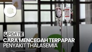 Video: Yang Bisa Dilakukan Agar Terhindar dari Thalasemia