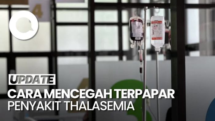 Video: Yang Bisa Dilakukan Agar Terhindar dari Thalasemia