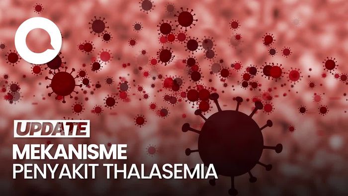 Video: Mekanisme Penyakit Thalasemia Diturunkan dari Orang Tua ke Anak