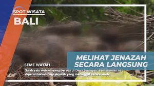 Menyaksikan Jenazah Langsung di Terunyan, Bali