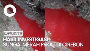 Video: Hasil Investigasi DLH soal Air Sungai di Cirebon Berubah Merah Pekat