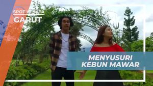 Menyusuri Kebun Mawar Situhapa dan Menikmati Keindahan Warga Garut