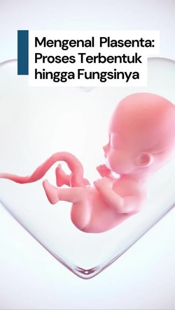 Video Serba-serbi Sains: Semua Tentang Plasenta