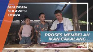 Mengikuti Proses Membelah Ikan Cakalang dan Membuat Cakalang Fufu di Sulawesi Utara