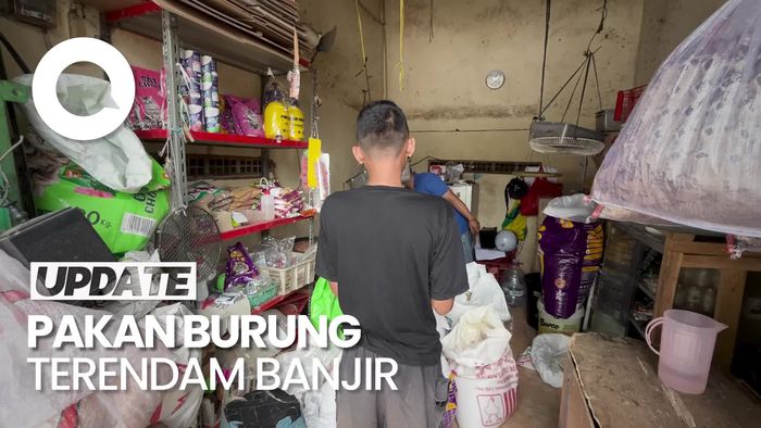 Video: Pedagang Burung Ngaku Rugi Rp 6 Juta Imbas Tembok Gudang SDA Jebol