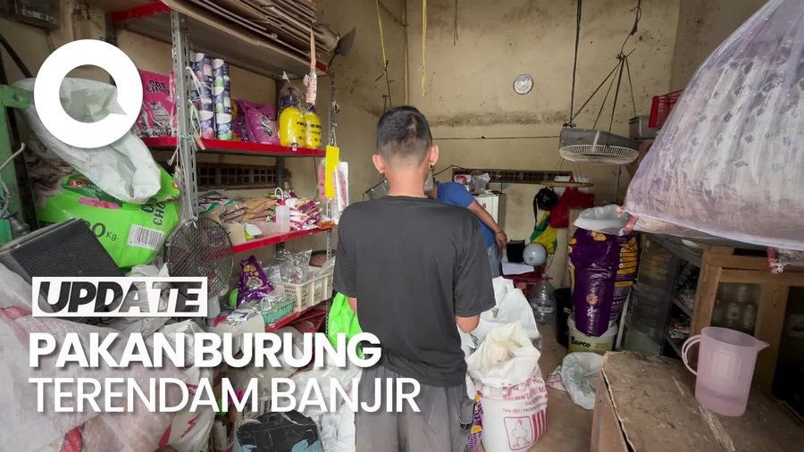 Video: Pedagang Burung Ngaku Rugi Rp 6 Juta Imbas Tembok Gudang SDA Jebol