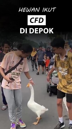 Video: Momen Iguana hingga Soang Ikut CFD di Depok 