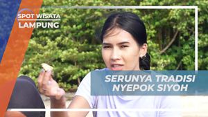 Mengikuti Tradisi Nyepok Siyoh dan Berburu Siput Laut Bersama Selebriti di Lampung  