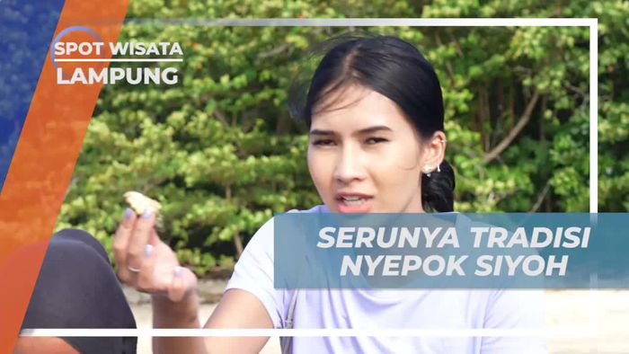Mengikuti Tradisi Nyepok Siyoh dan Berburu Siput Laut Bersama Selebriti di Lampung  