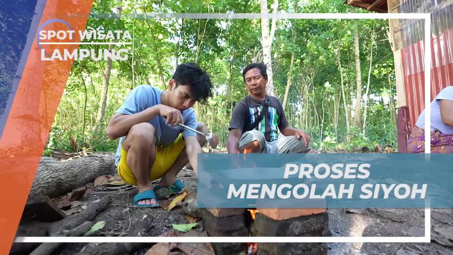 Mengolah Siyoh menjadi Gulai Siyoh dengan Bumbu Rempah Khas Lampung  